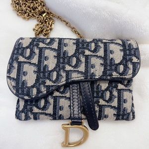 Christian Dior saddle nano